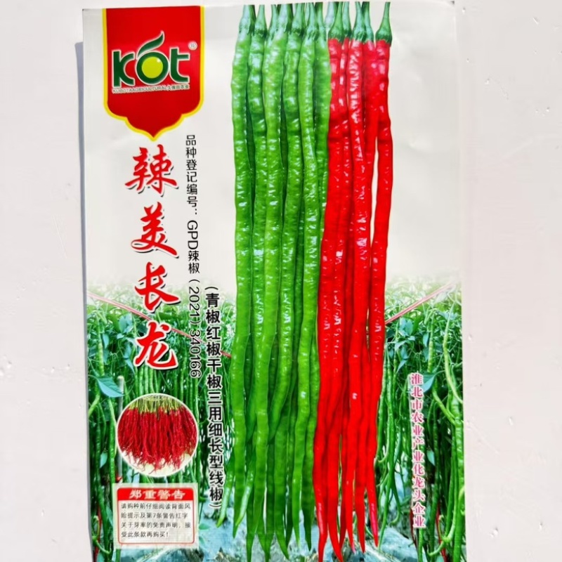 椒美长龙线椒品种，干鲜两用，青红椒品种种子