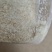 源头养殖场直供黑水虻虫卵新鲜采集成活率高高蛋白饲料