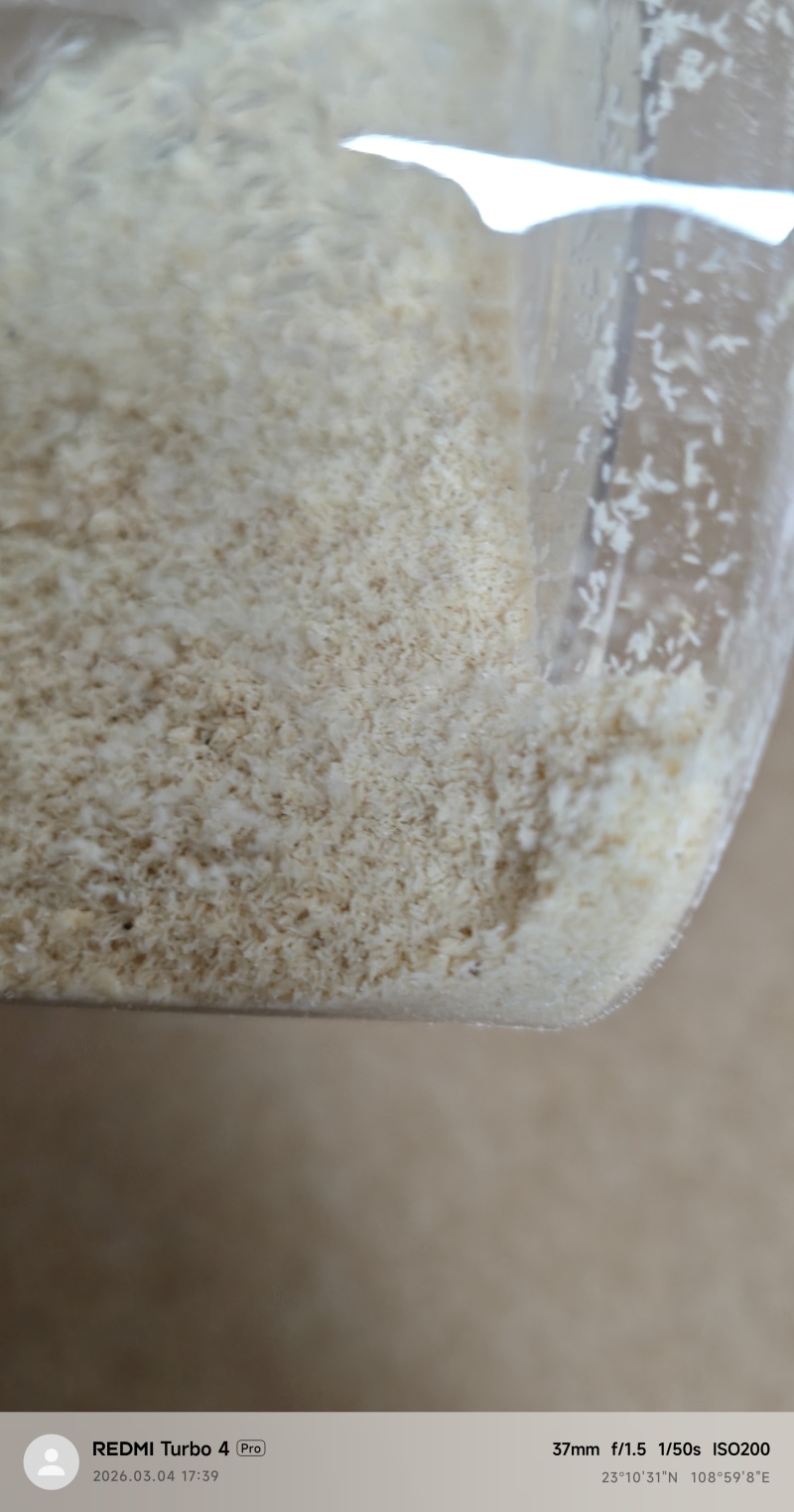 源头养殖场直供黑水虻虫卵新鲜采集成活率高高蛋白饲料