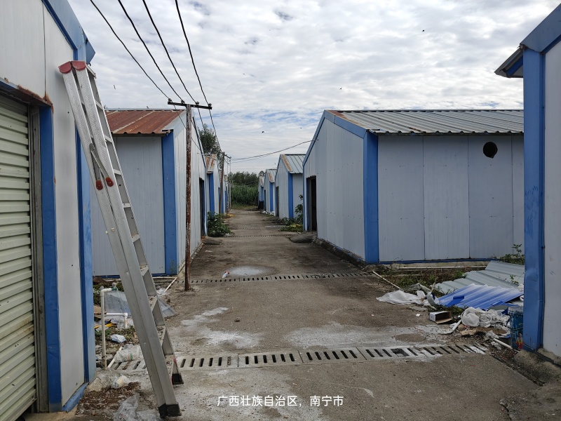 源头养殖场直供黑水虻虫卵新鲜采集成活率高高蛋白饲料