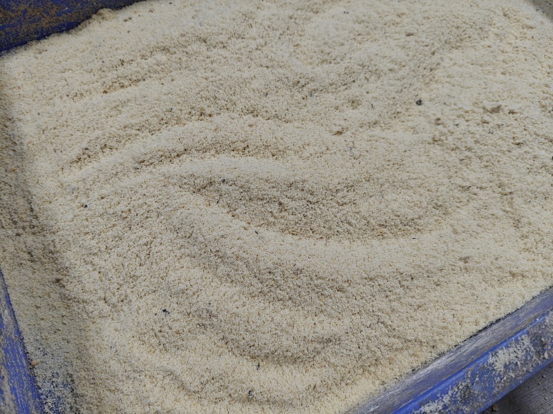 黑水虻虫卵活体虫卵高蛋白饲料虫种孵化率高