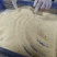 黑水虻虫卵活体虫卵高蛋白饲料虫种孵化率高