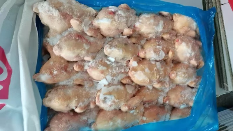 二级西装鸡