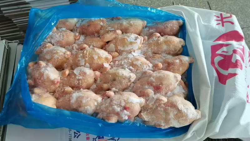二级西装鸡