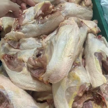 老母鸡胸架