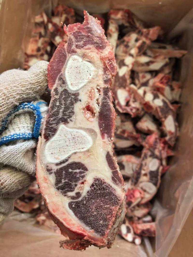 牛胸骨切片