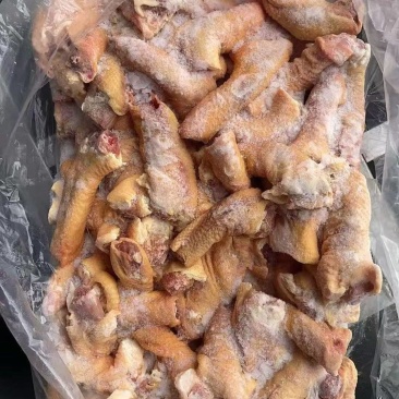出售公鸡脖