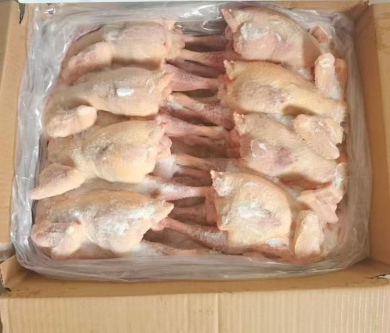 一级老母鸡