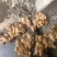 需要二黄姜的老板联系，价格便宜