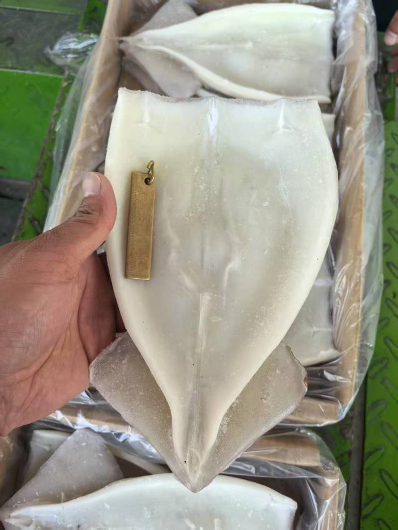 鱿鱼串鱿鱼片鱿鱼须火箭鱿鱼鱿鱼原料70克