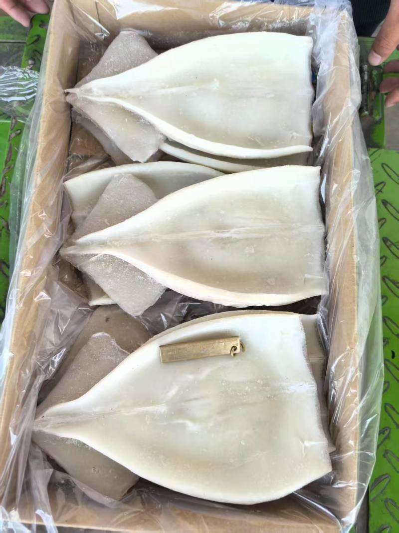 鱿鱼串鱿鱼片鱿鱼须火箭鱿鱼鱿鱼原料70克
