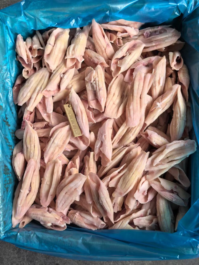 鱿鱼串鱿鱼片鱿鱼须火箭鱿鱼鱿鱼原料70克