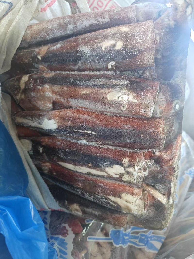 鱿鱼串鱿鱼片鱿鱼须火箭鱿鱼鱿鱼原料70克