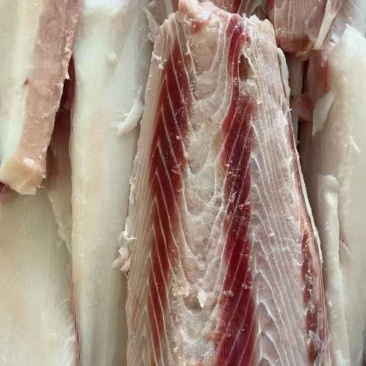 出售鲨鱼肉