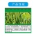 贵合喷施德28表高芸苔素内脂正品小麦调节生长植物农药调节
