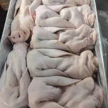 出售带耳猪脸