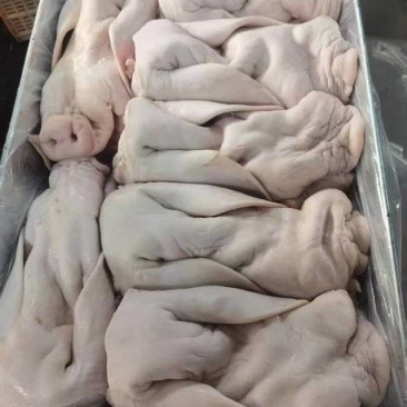 出售带耳猪脸