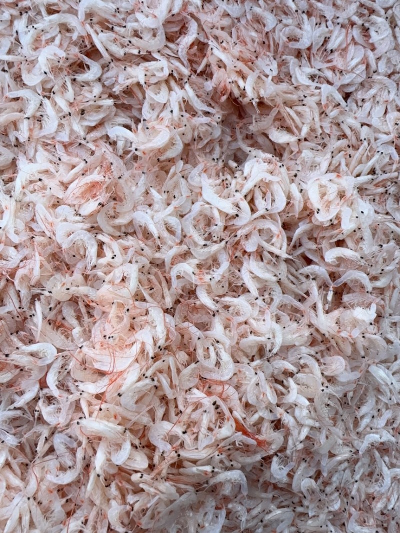 虾皮，中等个头，有湿度，微咸，颜色好，价格美丽。