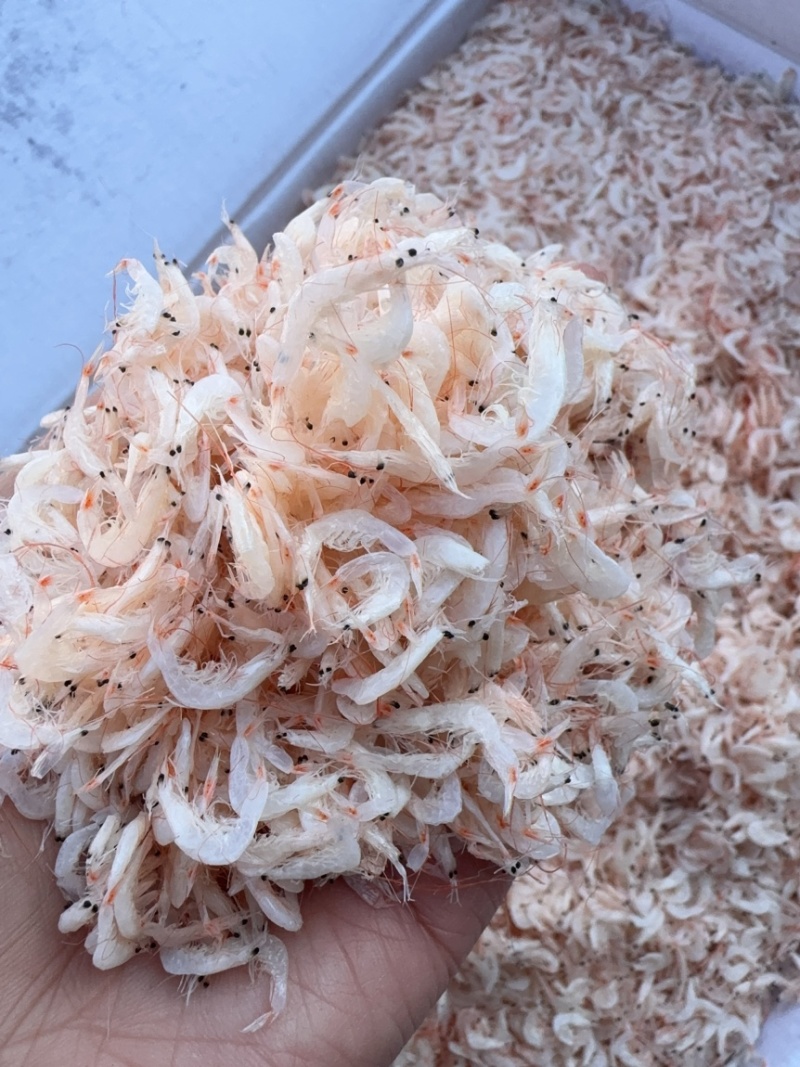 虾皮，中等个头，有湿度，微咸，颜色好，价格美丽。