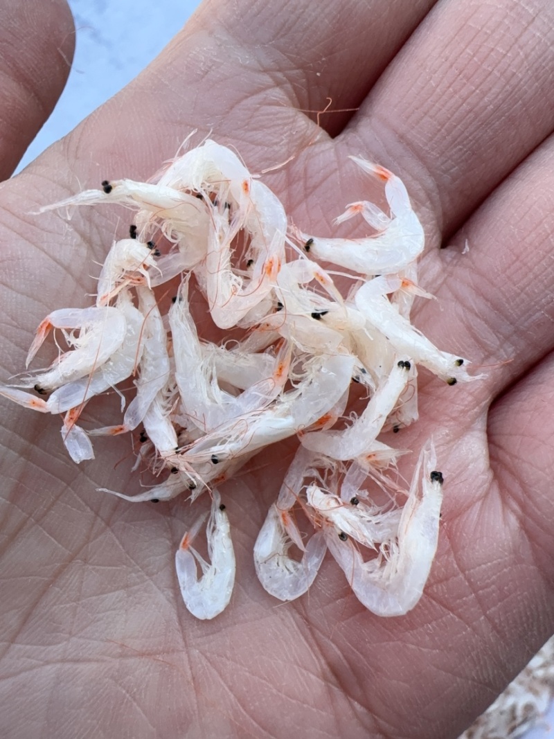 虾皮，中等个头，有湿度，微咸，颜色好，价格美丽。