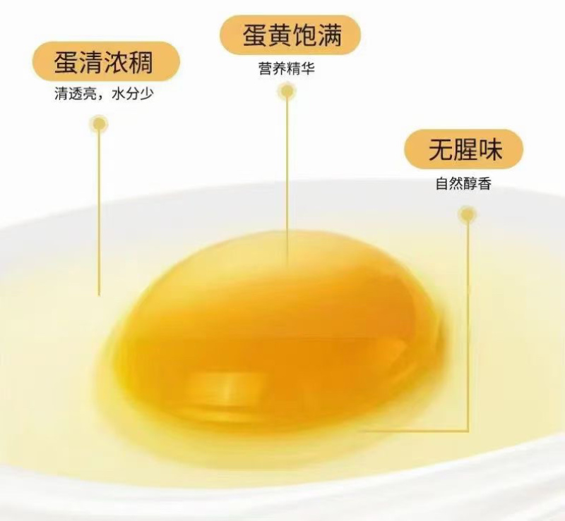 清远麻鸡初生鸡蛋五谷杂粮欢迎下单