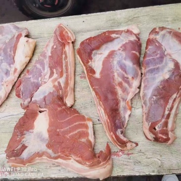 带皮三角五花腾惠更多客户的选择