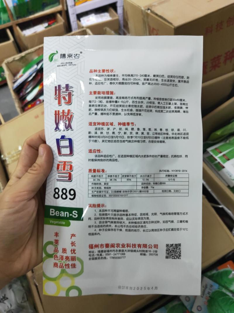 特嫩白雪老来少架豆种子白不老嫩荚白色豆荚圆棍形