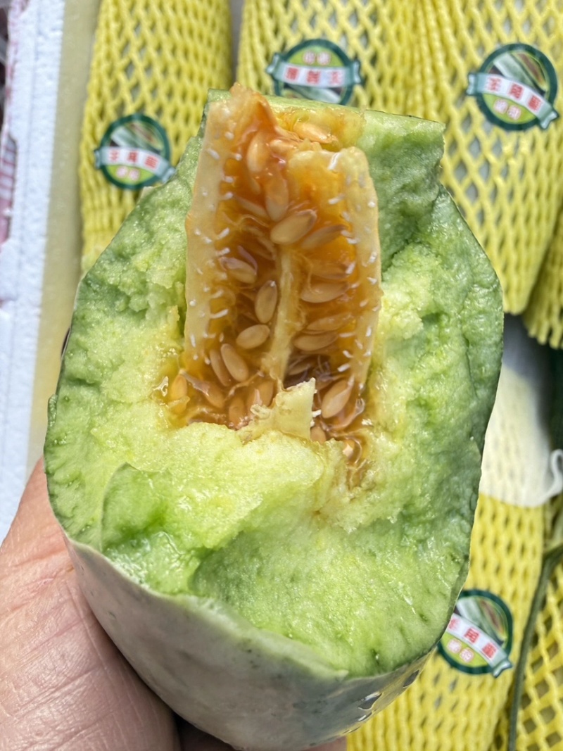 山东羊角蜜甜瓜个大饱满脆甜多汁【对接电商】商超仓储