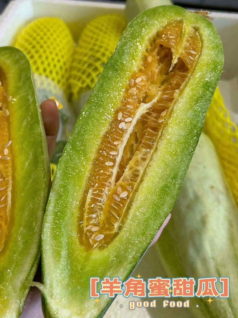 山东羊角蜜甜瓜个大饱满脆甜多汁【对接电商】商超仓储