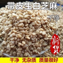 河南带皮生白芝麻自家种的散装不上化肥不打农药的