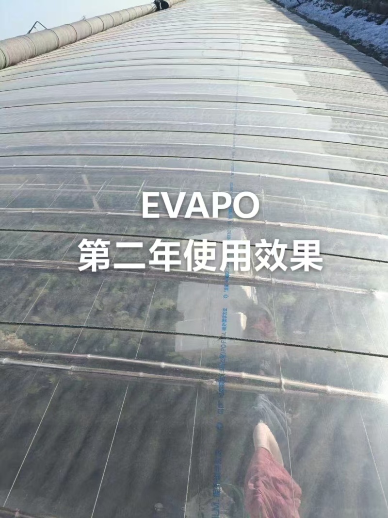 农膜/自康农膜/白色EVAPO膜/厂家直销/大量现货