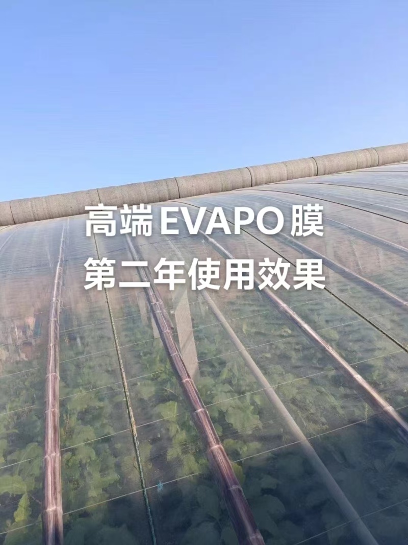 农膜/自康农膜/白色EVAPO膜/厂家直销/大量现货