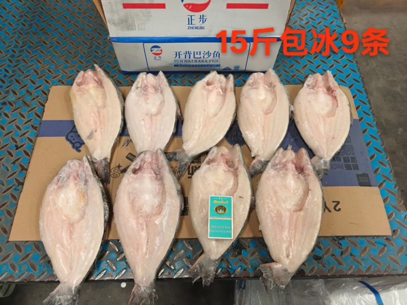 国产开背巴沙鱼15斤/20斤/干冰20斤，烤鱼