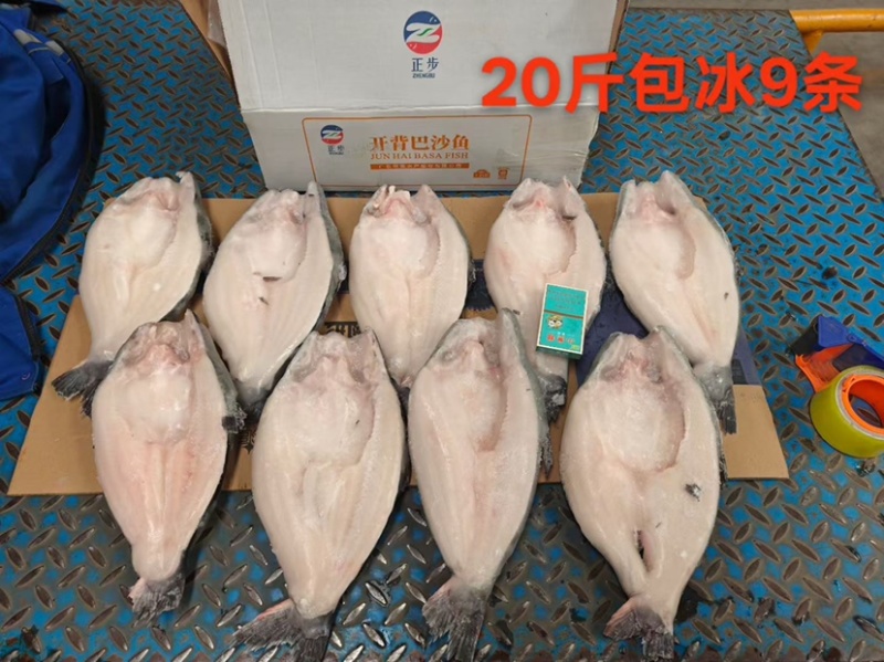 国产开背巴沙鱼15斤/20斤/干冰20斤，烤鱼