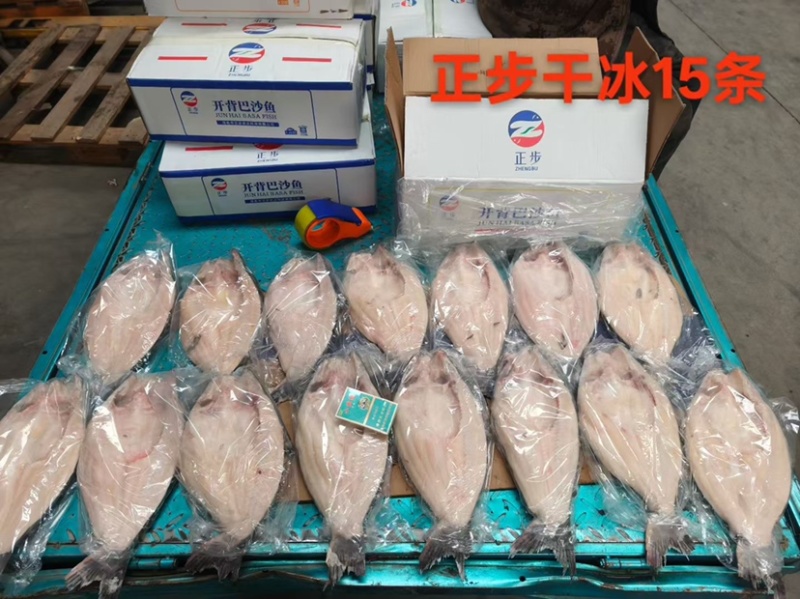 国产开背巴沙鱼15斤/20斤/干冰20斤，烤鱼