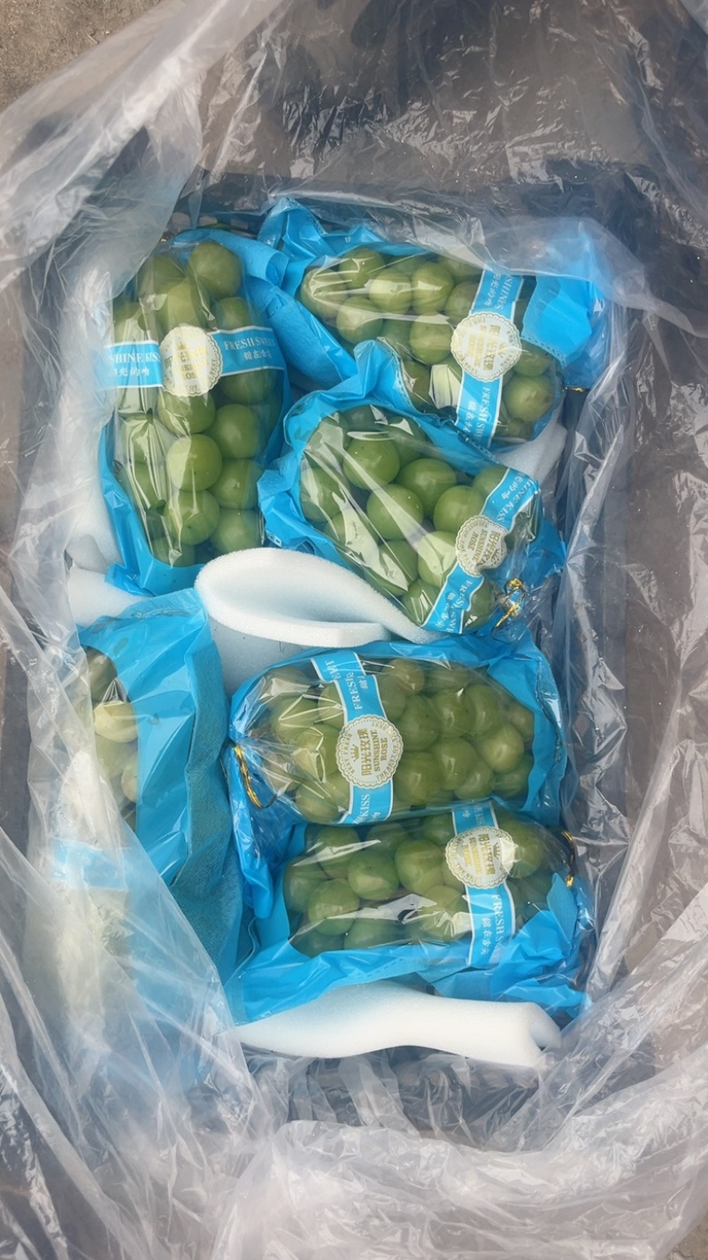 阳光玫瑰，颗粒大，硬度大，需要的抓紧联系