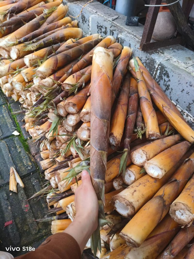 大自然的味道，清水笋