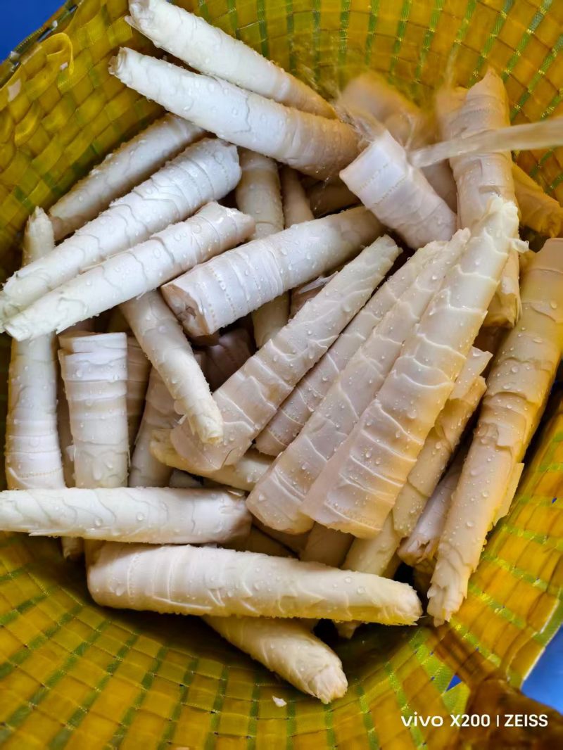 大自然的味道，清水笋