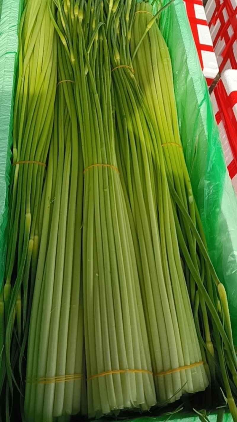 蒜苔