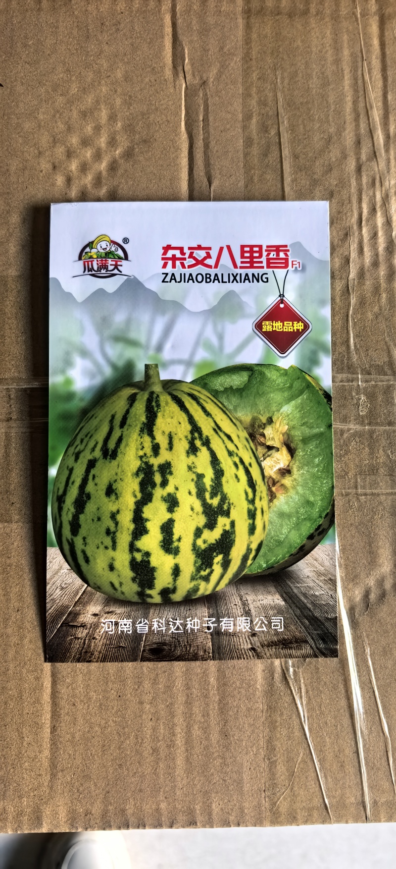 十里香甜瓜种子八里香甜香掉牙花皮甜瓜种子早熟高糖