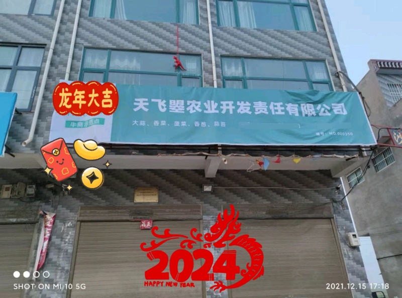 天飞曌农业春秋冬季红根趴地菠菜电商团购直播超市小微