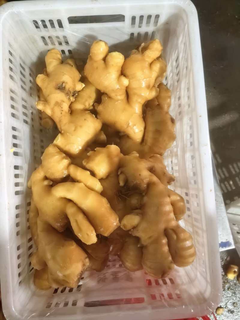山东面姜