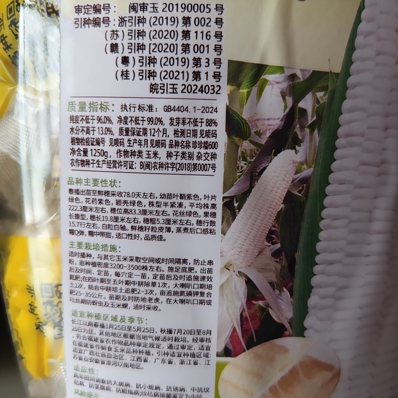 珍珍糯600甜糯玉米种子特大棒白糯粘香甜糯玉米种子