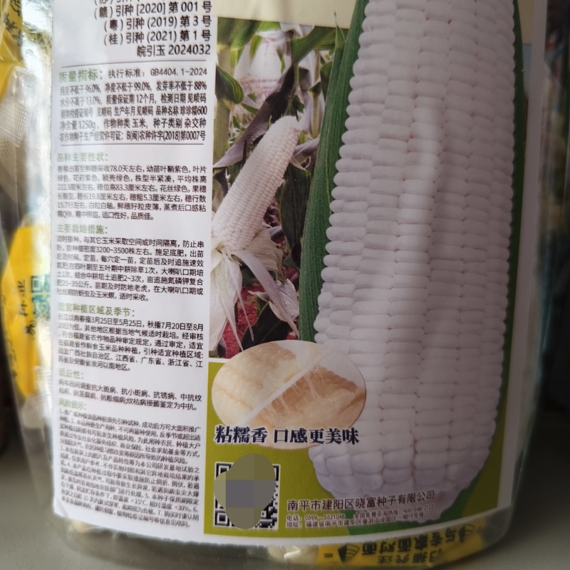 大棒白糯玉米种子晓富珍珍糯600玉米种子糯中带甜粘糯香