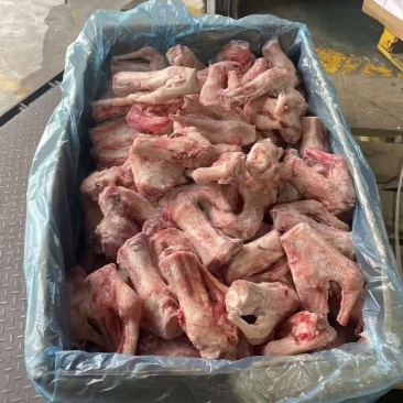 多肉羊拐筋，现货现发量大优惠