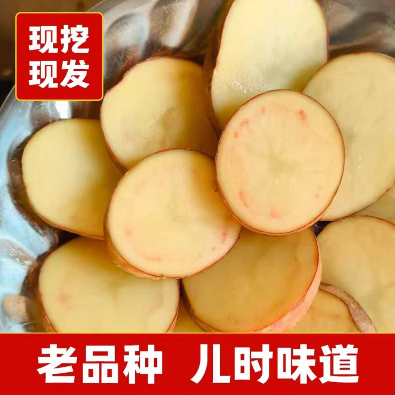 （青薯9号土豆）云南土豆/红皮黄心/产地货源整车批发
