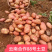 （合作88号土豆）云南分红土豆/黄心土豆/保质保量发货