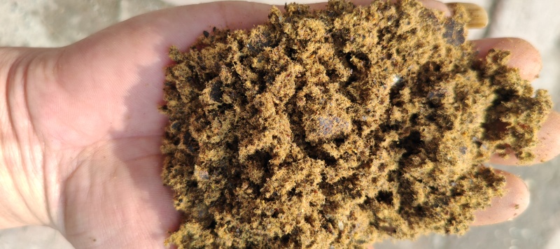 全脂棉饼，棉籽饼，牛羊养殖，养殖牛羊
