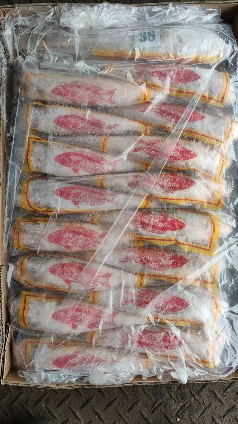 缅甸进口黄花鱼野生