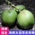 海南精品椰子/产地直发/量大从优/诚信经营/一手货源